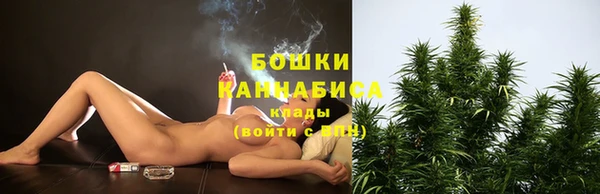 шишки Весьегонск