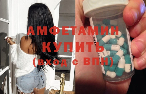 шишки Весьегонск
