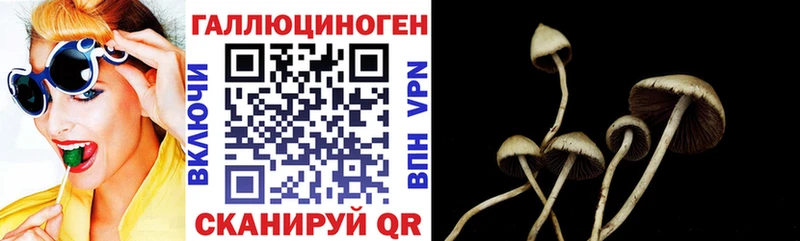 гидра ТОР  магазин продажи   Шарыпово  Псилоцибиновые грибы GOLDEN TEACHER 