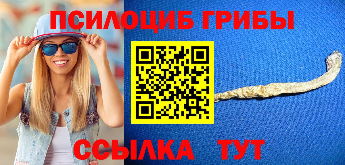 Псилоцибиновые грибы Psilocybine cubensis  Вход с VPN  Шарыпово 